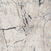 Wyscott 7'10" x 10'3" Rug - De Avenue Furniture