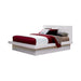 Jessica Queen Platform Bed with Rail Seating White - De Avenue Furniture