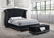 Barzini Queen Tufted Upholstered Bed Black - De Avenue Furniture