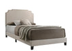 Tamarac Upholstered Nailhead Queen Bed Beige - De Avenue Furniture