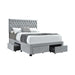 Soledad Queen 4-drawer Button Tufted Storage Bed Light Grey - De Avenue Furniture