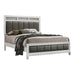 Barzini Queen Upholstered Panel Bed White - De Avenue Furniture