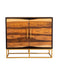 Zara 2-door Accent Cabinet Black Walnut and Gold - De Avenue Furniture
